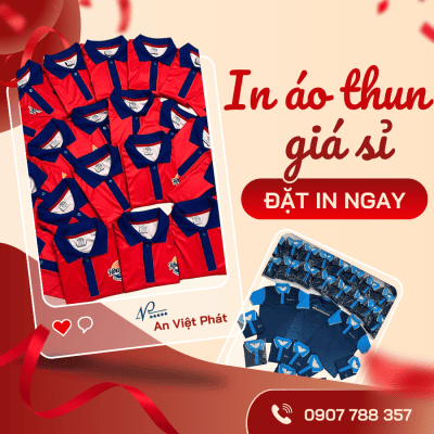 In Áo Thun Giá Rẻ